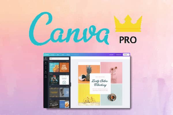 Canva Pro