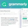 Grammarly group buy