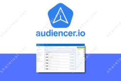 Audiencer