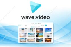 Wave.video