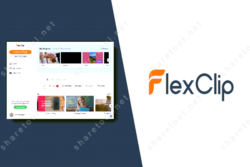 FlexClip image