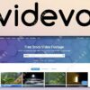 Videvo group buy