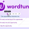 Wordtune group buy