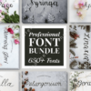 650+ Professional Font Bundle