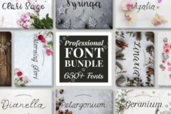 650+ Professional Font Bundle