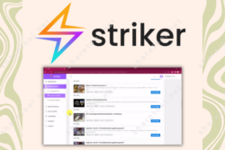 Striker