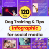 120 Dog Training & Tips Infographic Posts