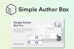 Simple Author Box