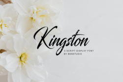 Kingston Font