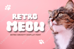 Retro Meow - Retro Groovy Display Font