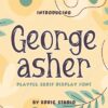 George Asher Unique Serif Font