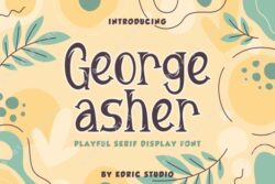 George Asher Unique Serif Font