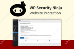 WP Security Ninja