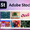 Adobe Stock