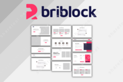 Briblock