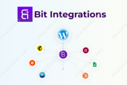 Bit Integrations Plugin