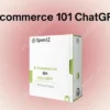 Ecommerce 101 ChatGPT