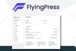 FlyingPress