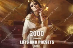 2000 Filmmaking LUTs And Presets Bundle