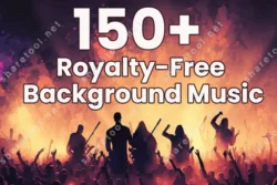 150 Royalty Free Background Music Bundle