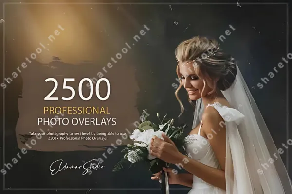 2500 Professional Photo Overlays Bundle