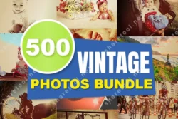 500 Vintage Photos Bundle