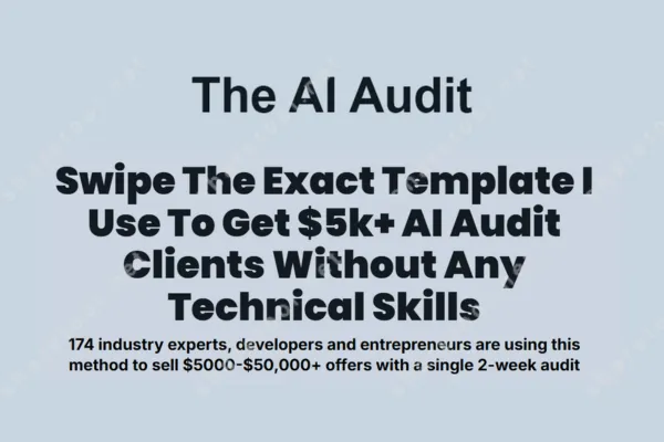 The AI Audit