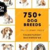 Ultimate Dog Breed Bundle