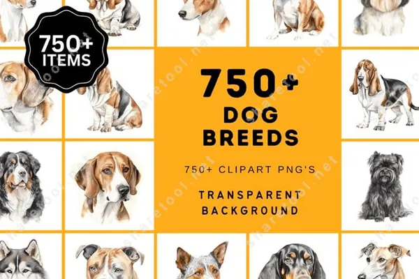 Ultimate Dog Breed Bundle