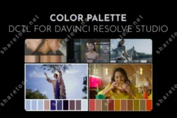 Color Palette Dctl